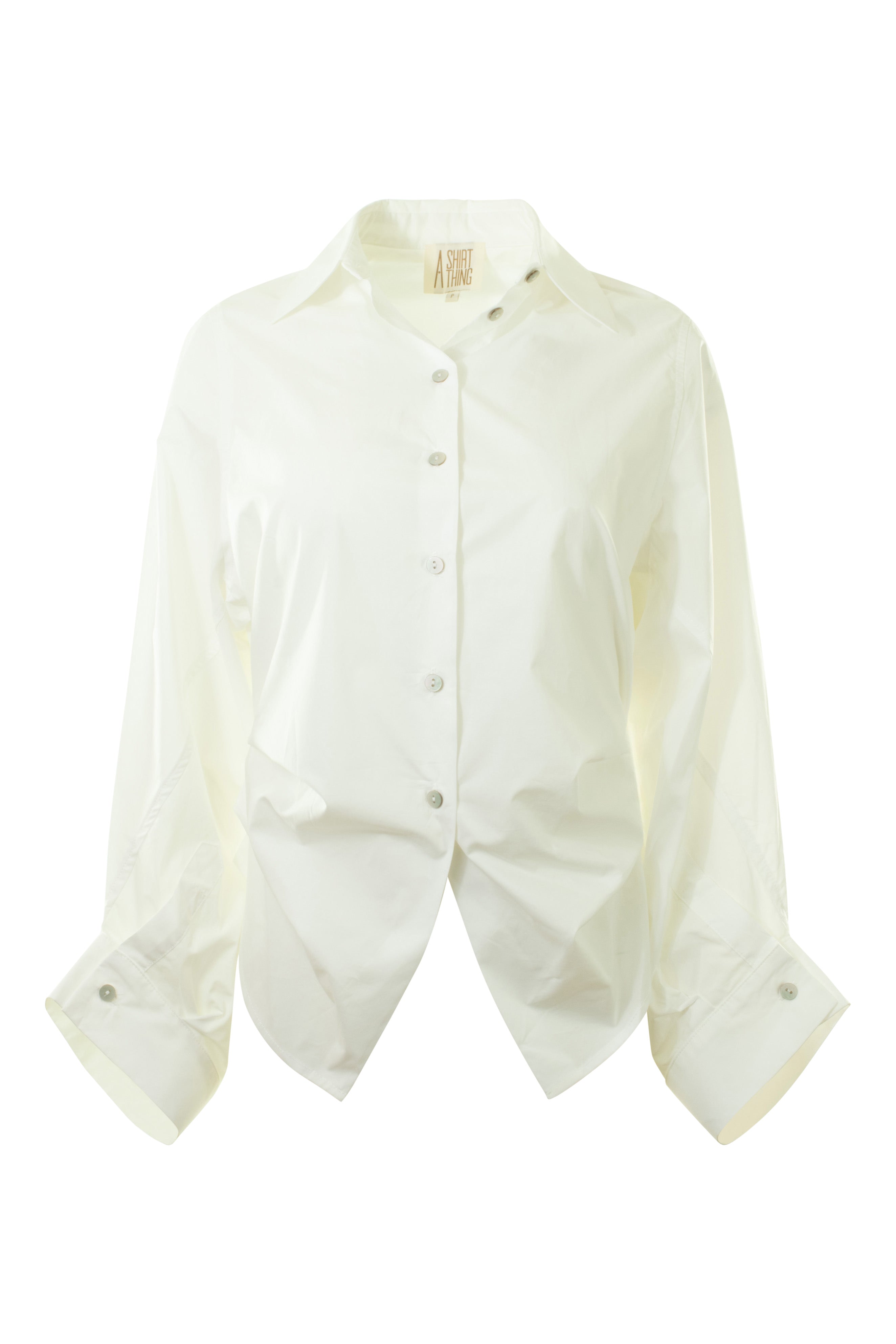 A Shirt Thing Alexis Long Sleeve Blouse