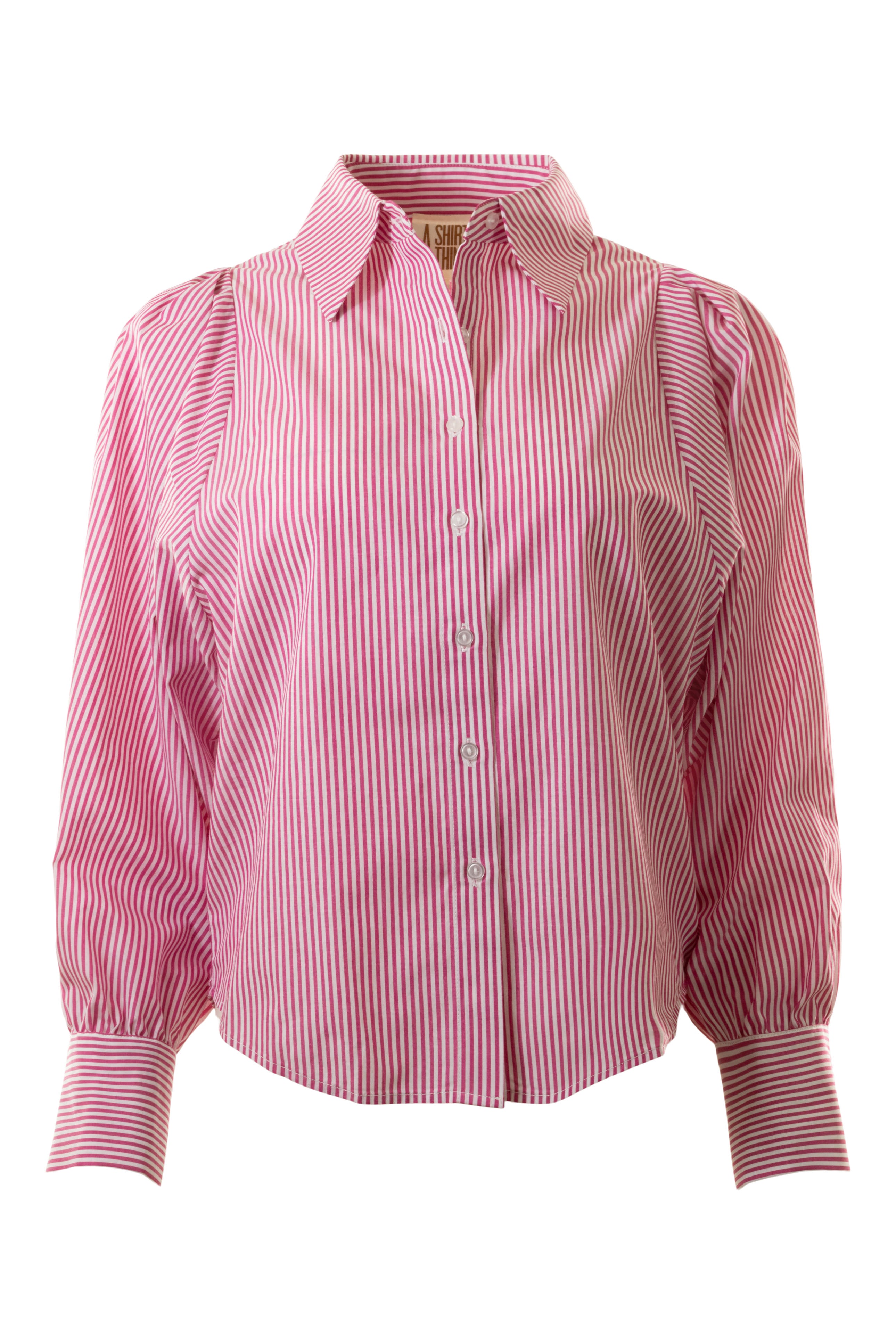 A Shirt Thing Charlotte Striped Shirt in Red