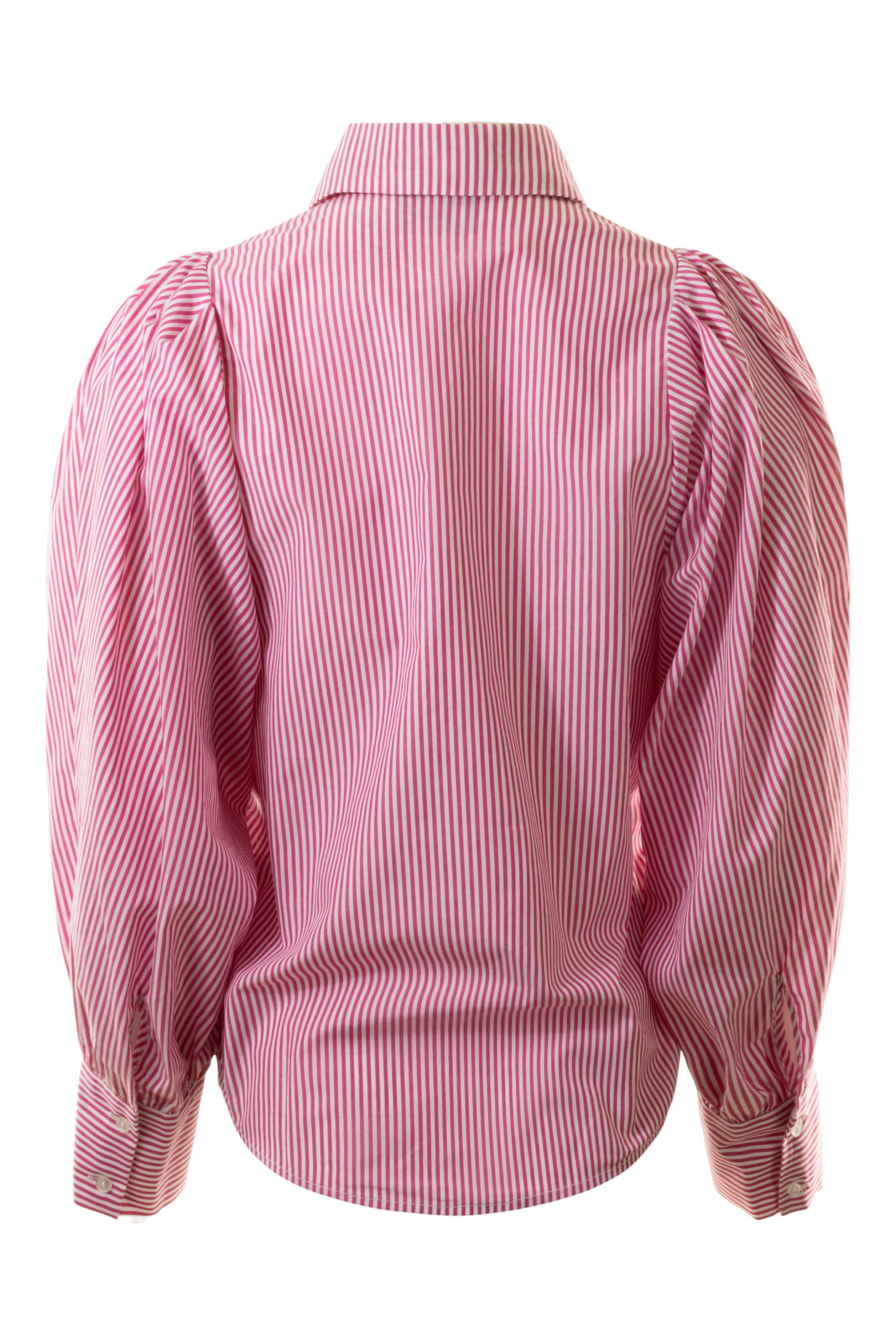 A Shirt Thing Charlotte Striped Shirt in Red