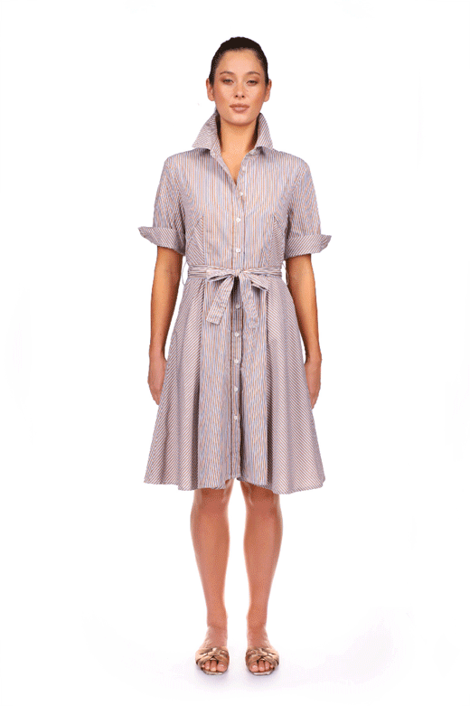 A Shirt Thing Suzanne Dress in Stripe 01