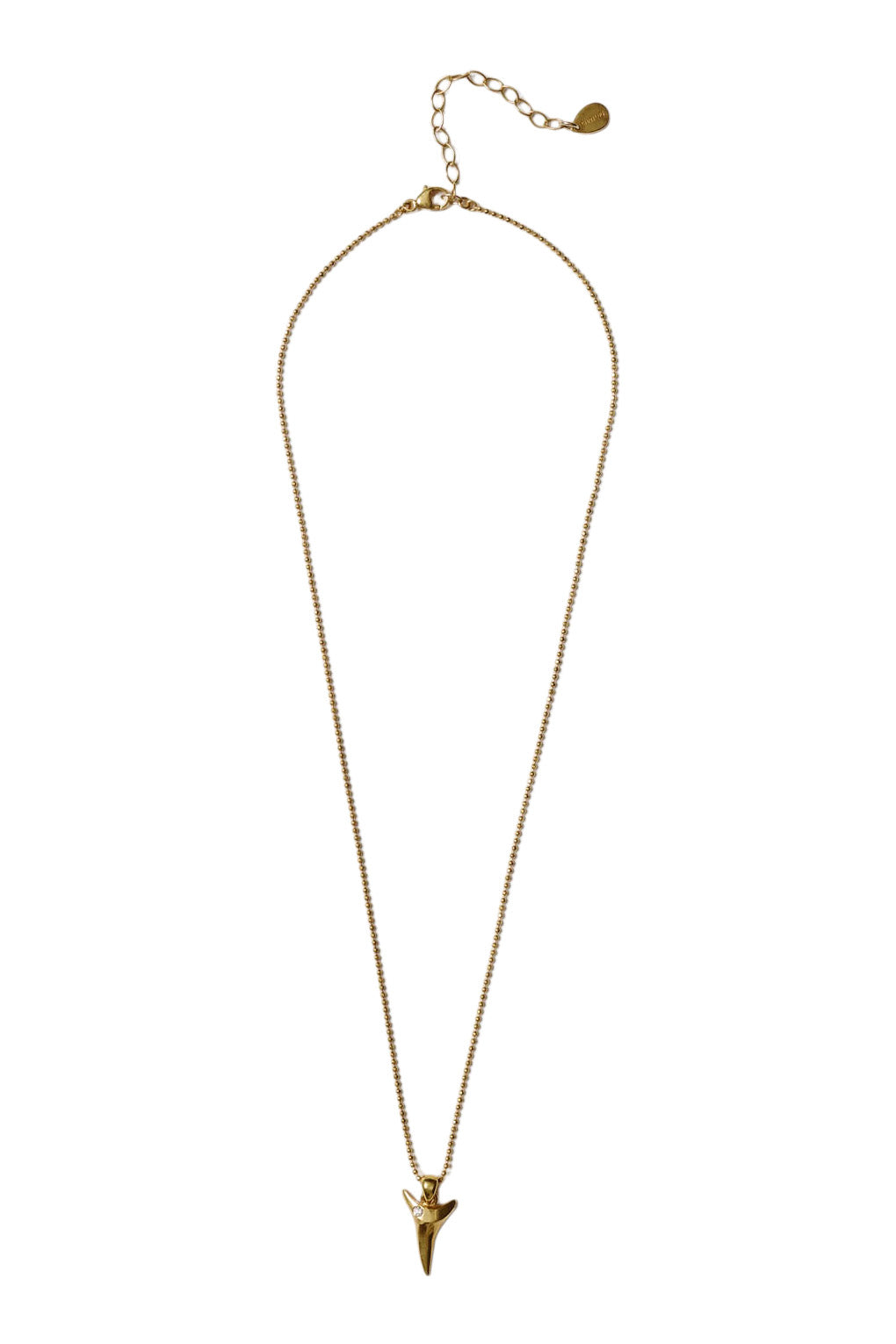 Chan Luu Shark Tooth Necklace in Yellow Gold