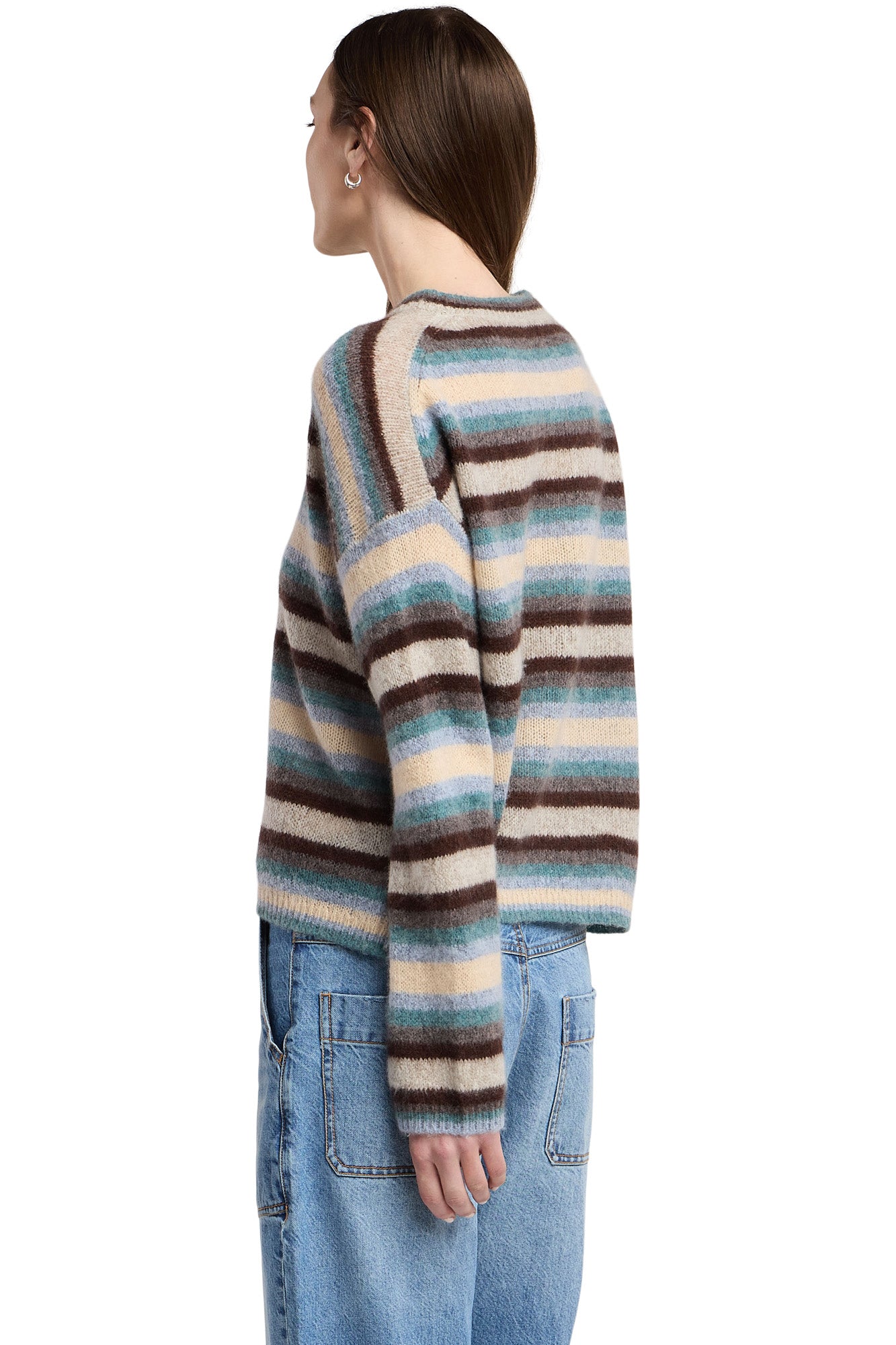 Velvet Mae Crewneck Sweater in Multi