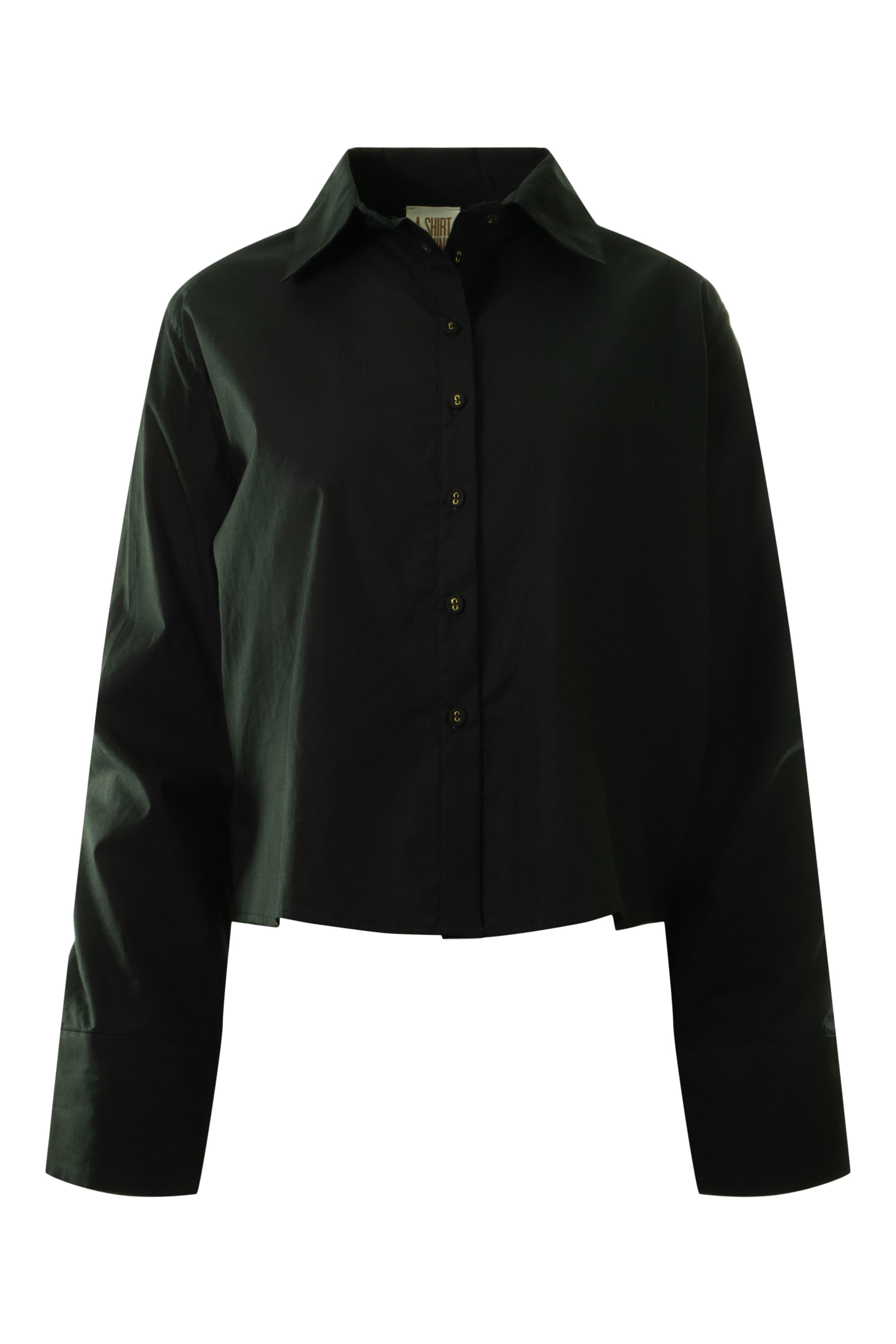 A Shirt Thing Parker Shirt in Black