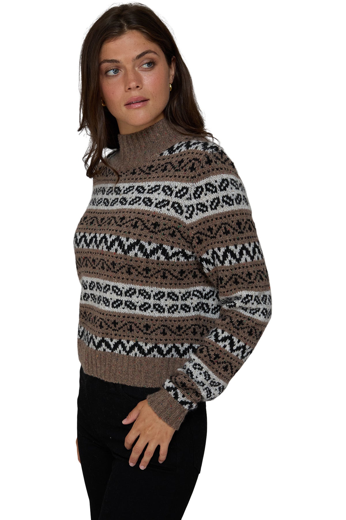 Autumn Cashmere Cropped Chunky Fair Isle Mock in Brownie Combo