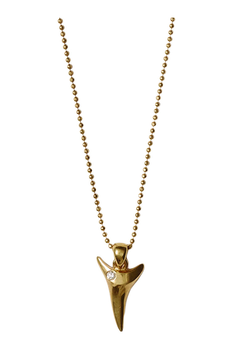 Chan Luu Shark Tooth Necklace in Yellow Gold