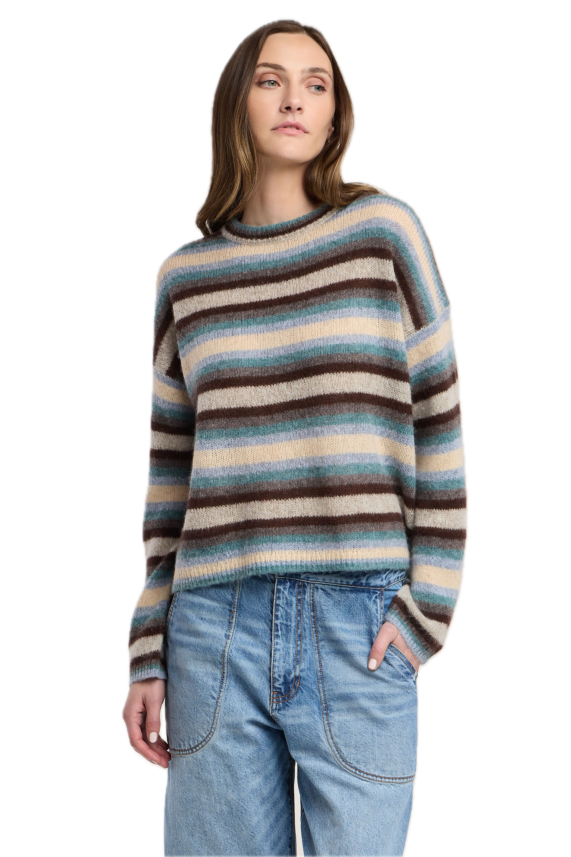 Velvet Mae Crewneck Sweater in Multi