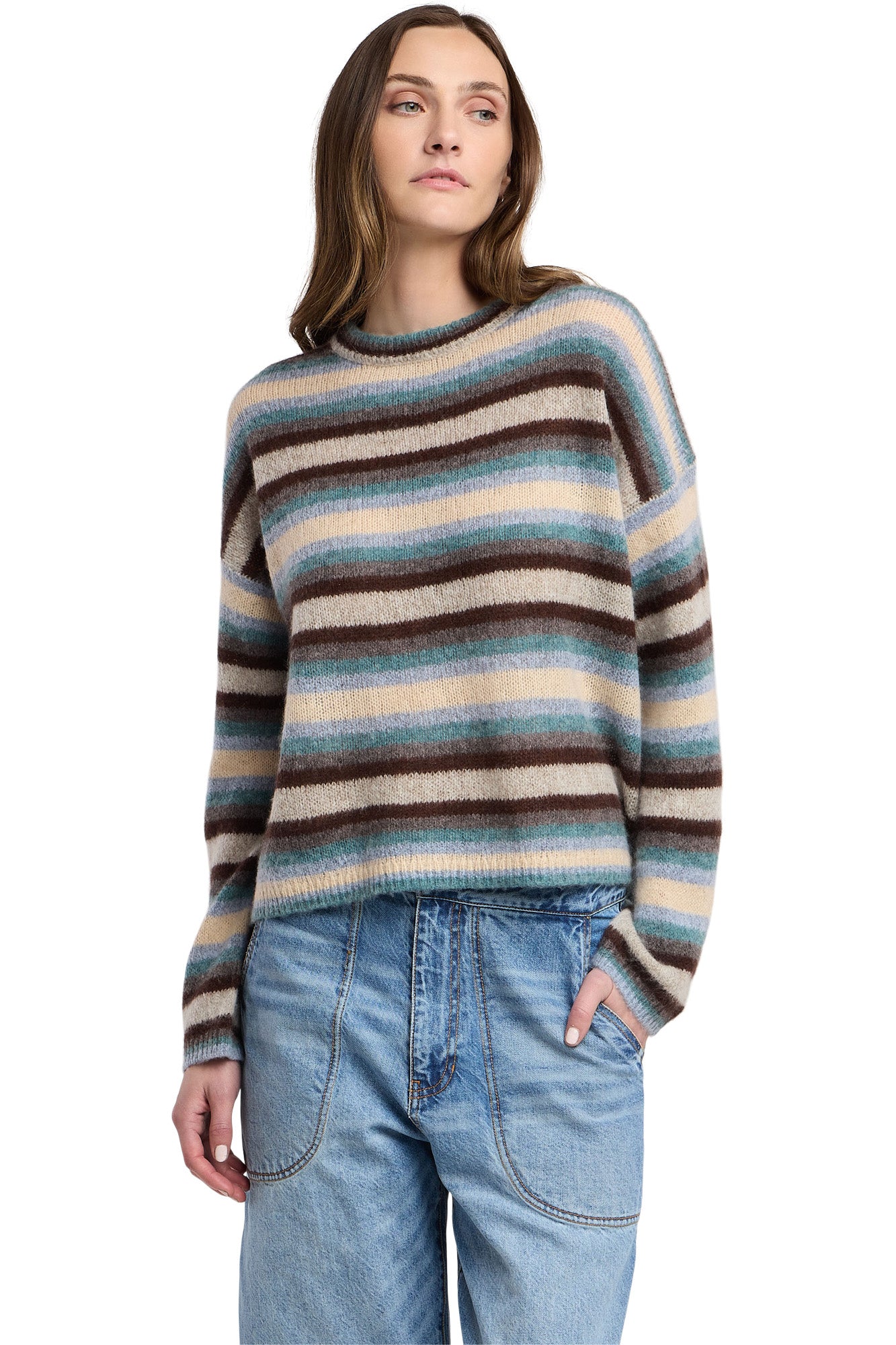 Velvet Mae Crewneck Sweater in Multi