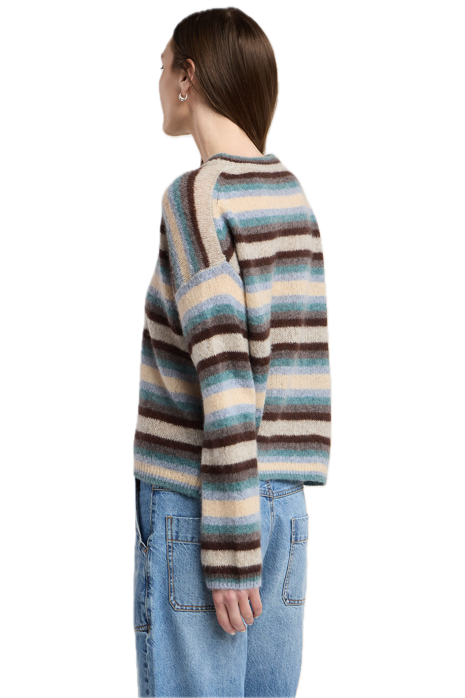 Velvet Mae Crewneck Sweater in Multi